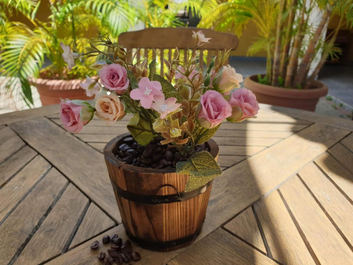 Bed And Breakfast Toni Kunchi Willemstad Exterior foto